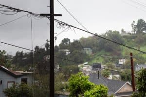 2121 Clifford St image 19