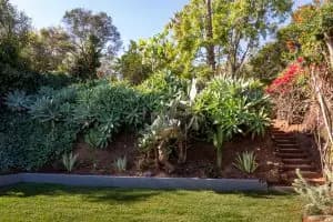 2335 Kenilworth Ave image 4