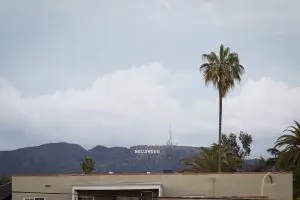 429 N Plymouth Blvd image 10