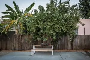 2241 Harwood St image 11