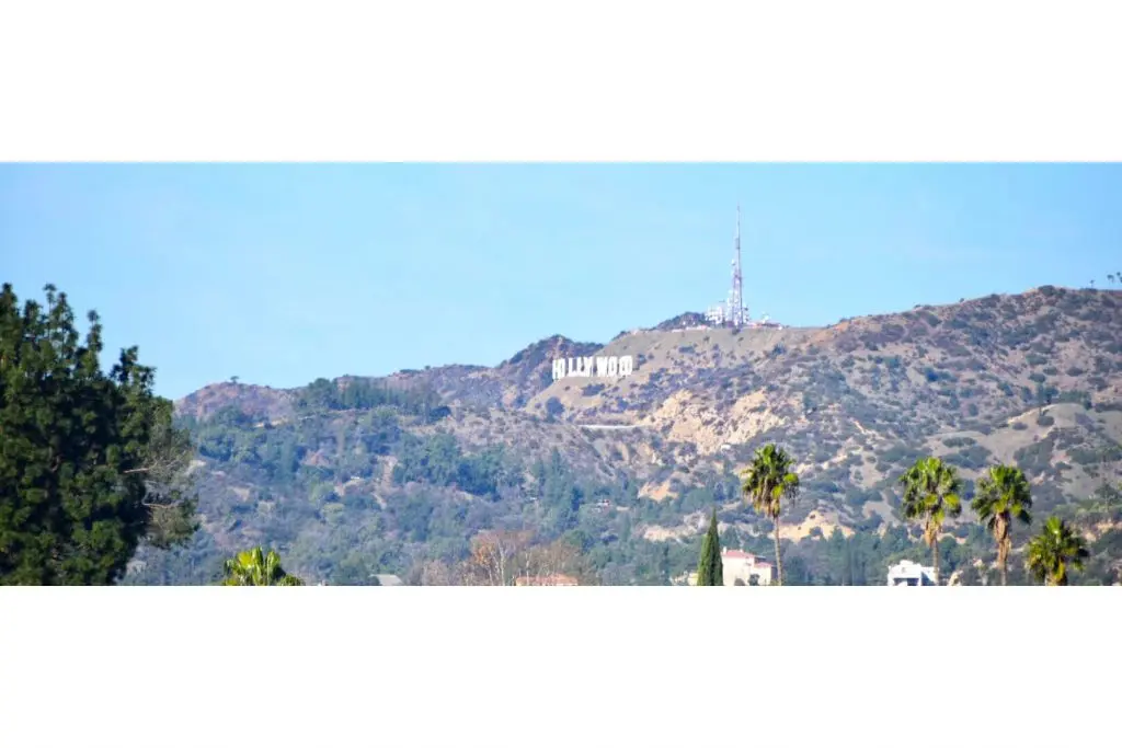 2456 Hidalgo Ave2456 Hidalgo Ave image 12