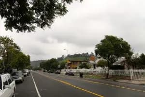 4123 Griffin Ave image 16